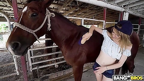 Johnny The , Kristy May Kristy May Rides A Stallion / 10.12.2019